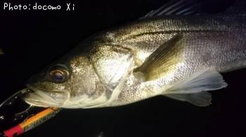 �����Х�