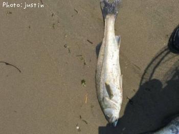 �����Х�