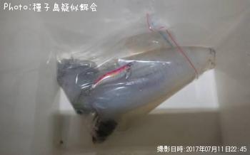 ¥¢¥ª¥ê¥¤¥«