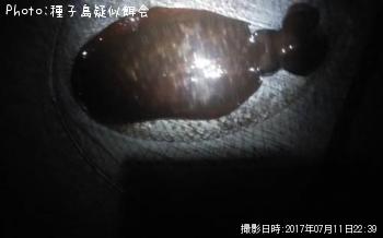 ¥¢¥ª¥ê¥¤¥«