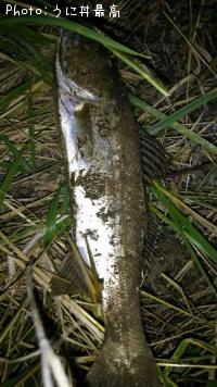 �����Х�