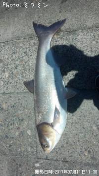 Íøº¬Àî£Ç£Ô