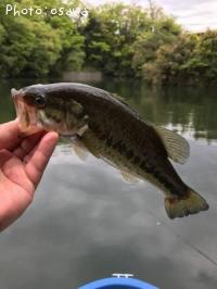 �֥�å��Х�