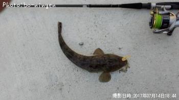 �ޥ���