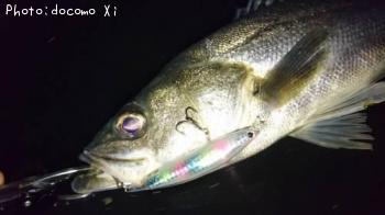 �����Х�