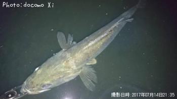 �����Х�