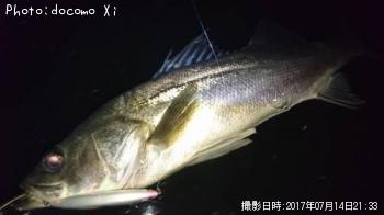 �����Х�