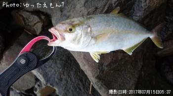 ¥«¥ó¥Ñ¥Á¤Î»Ò