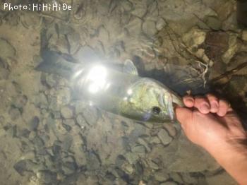 �֥�å��Х�