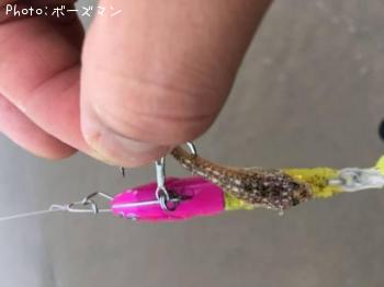 ¥ï¥«¥·¡¡¡¡¥Þ¥´¥Á¡©