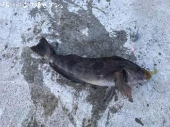 �����ʥ�