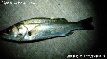 �����Х�