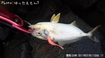 ����ѥ��λ�