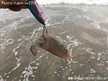 �����ӥ��