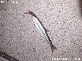 ���奦�ꥦ��