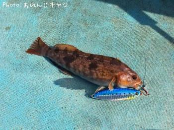 �����ʥ�