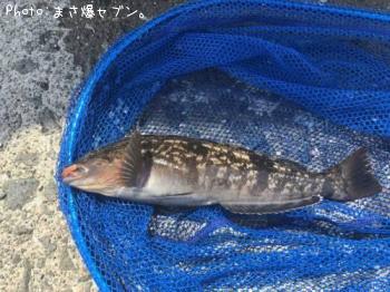 �����ʥ�