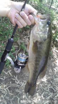 �֥�å��Х�