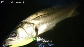 �����Х�