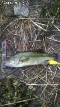 ¥Ö¥é¥Ã¥¯¥Ð¥¹