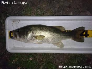 ¥Ö¥é¥Ã¥¯¥Ð¥¹