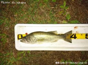 ¥Ö¥é¥Ã¥¯¥Ð¥¹