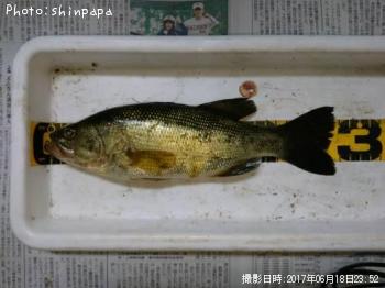 �֥�å��Х�