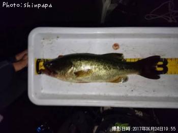 ¥Ö¥é¥Ã¥¯¥Ð¥¹