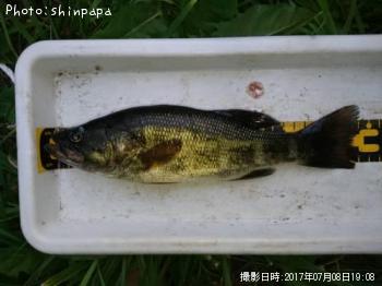 �֥�å��Х�