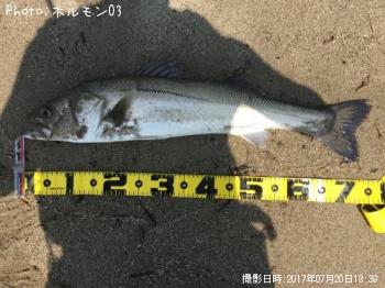 �����Х�