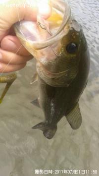 �֥�å��Х�