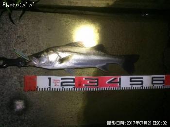 �����Х�