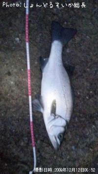 �ҥ饹����