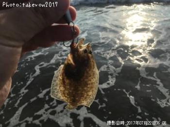 �ҥ��ʥ�����