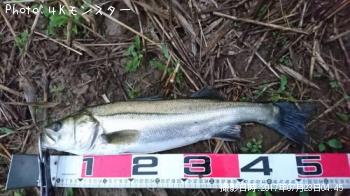 �����Х�