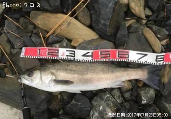 �����Х�