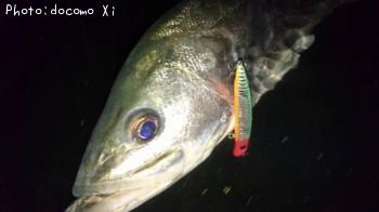 �����Х�