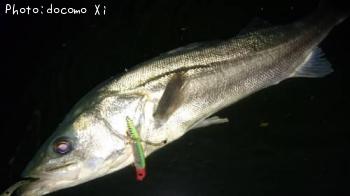 �����Х�