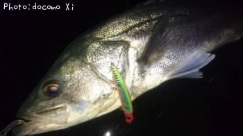 �����Х�