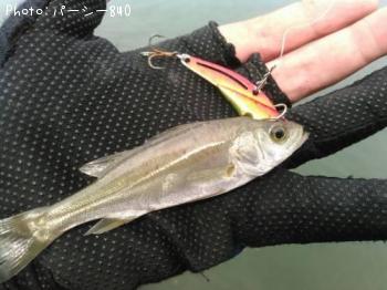 �����Х�