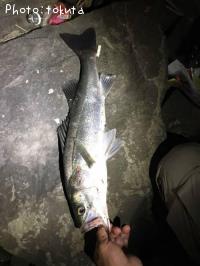 �����Х�