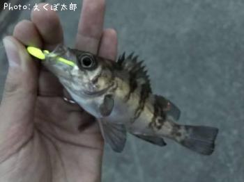 ��Х�