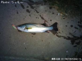 �����Х�