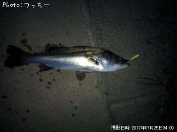 �����Х�