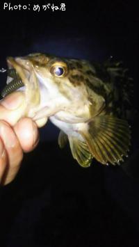 �����Υ���Х�