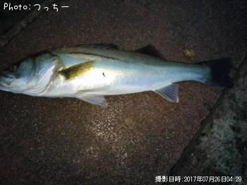 �����Х�