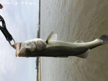 �����Х�