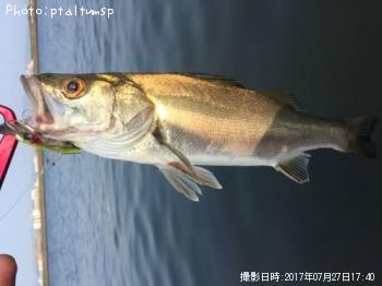 �����Х�