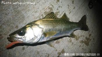 �����Х�