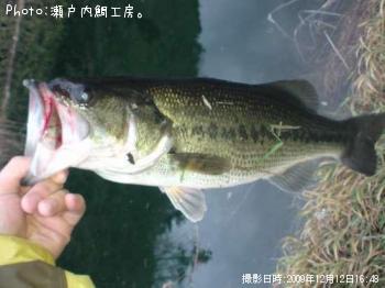 �֥�å��Х�